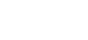 SDF22 International Short Competition (1)